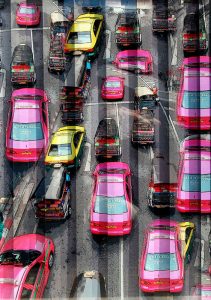 taxis-roses