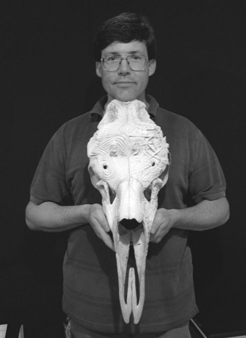 Shane Wilson. artist portrait, Catalunya album. http://shanewilson.com/